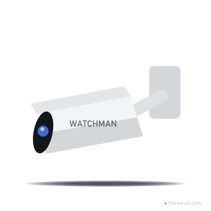 Vigil 4 MP Bullet IP Camera (Night Colour)